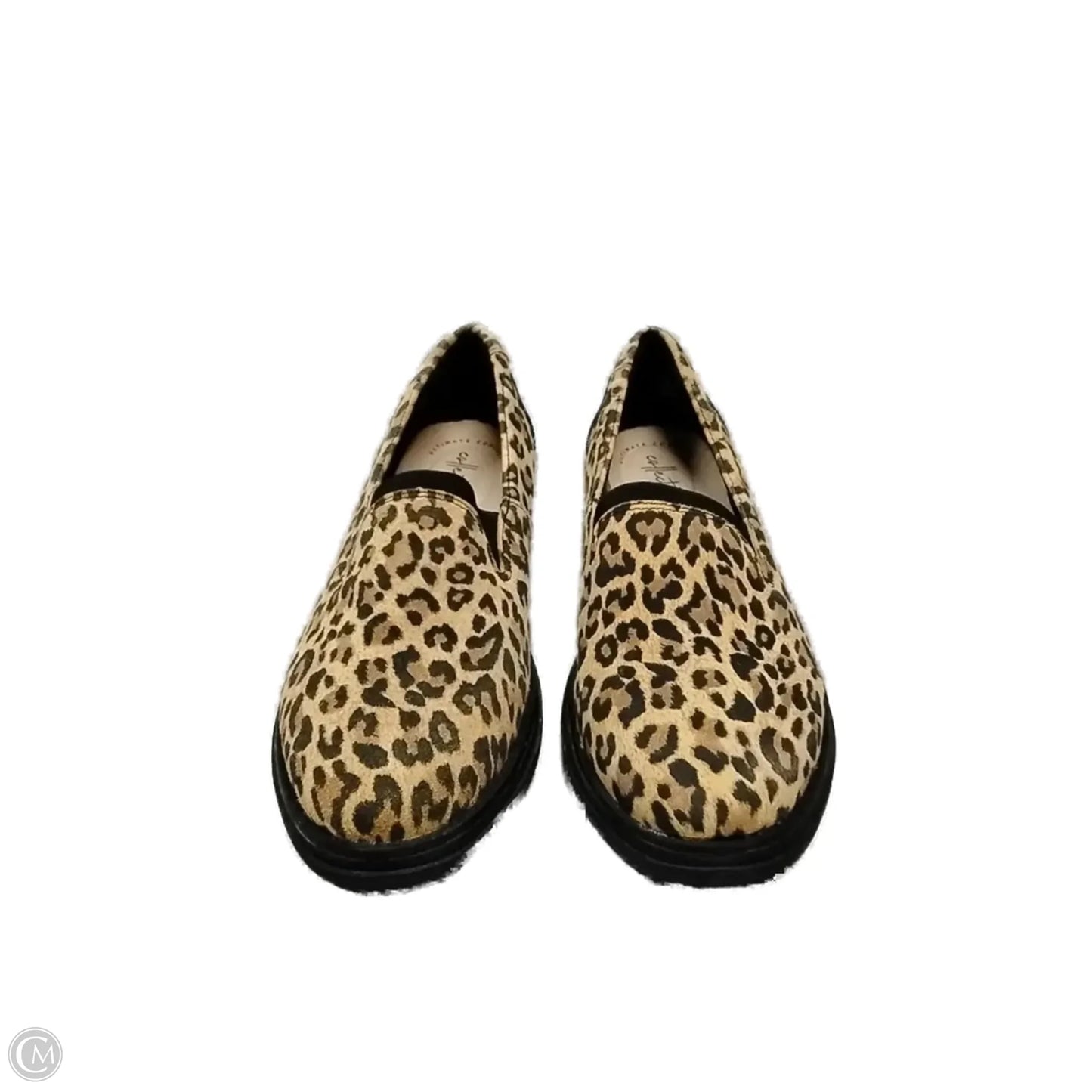 Shoes Flats By Clarks In Leopard Print, Size: 9