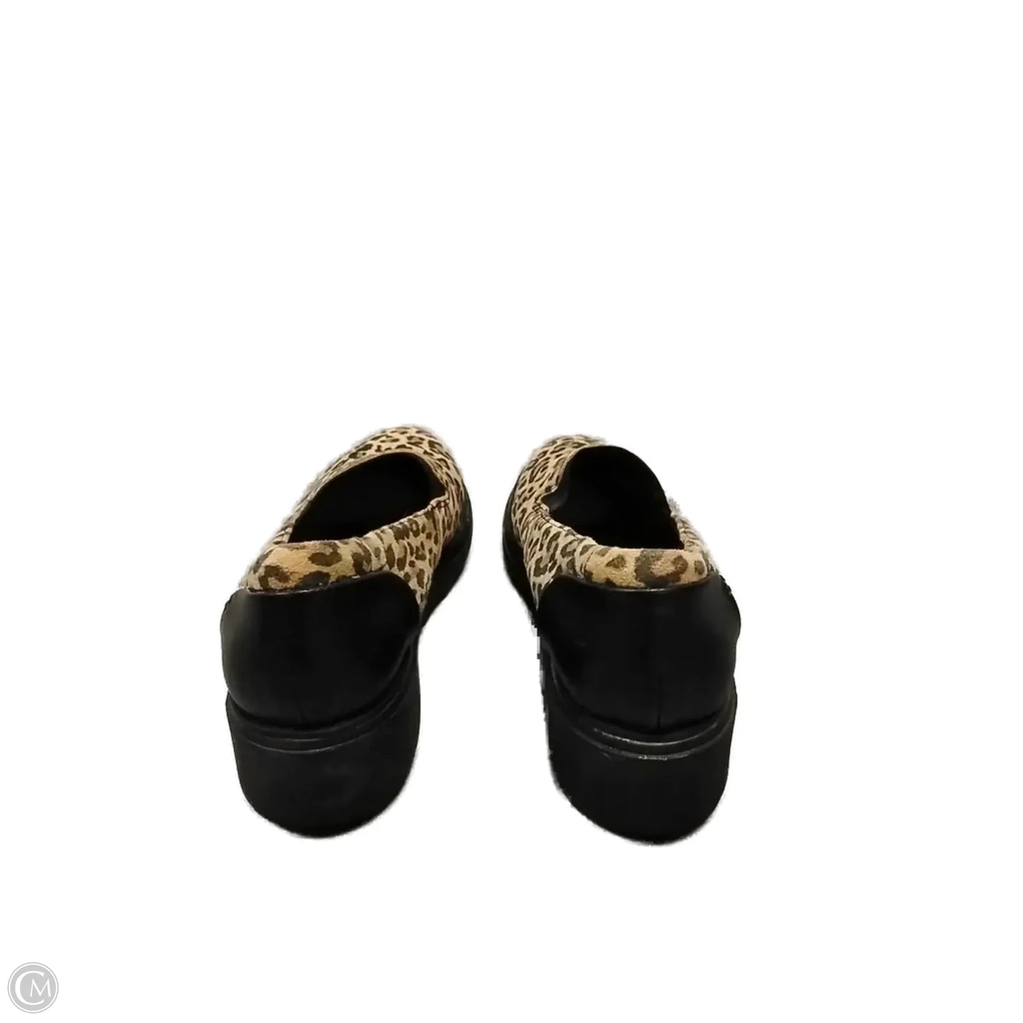 Shoes Flats By Clarks In Leopard Print, Size: 9