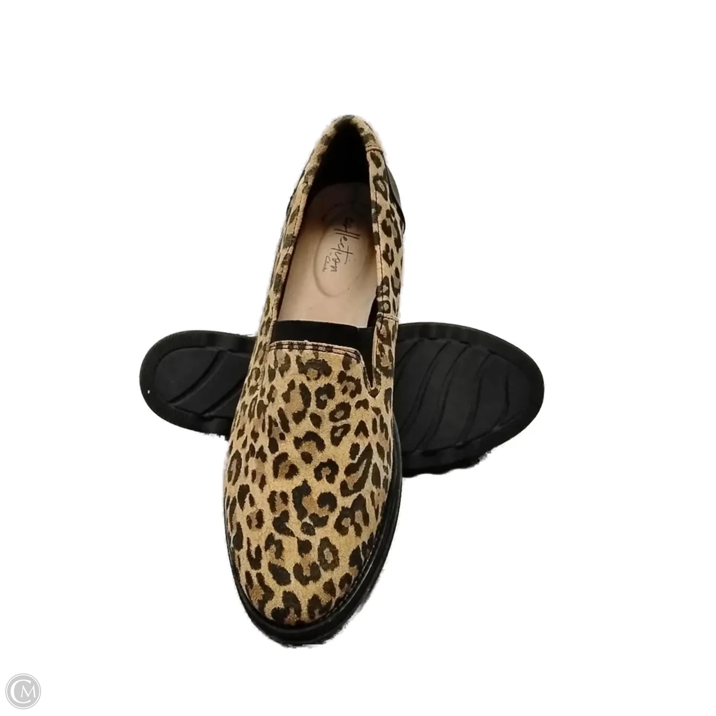 Shoes Flats By Clarks In Leopard Print, Size: 9