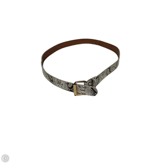 Belt By Clothes Mentor