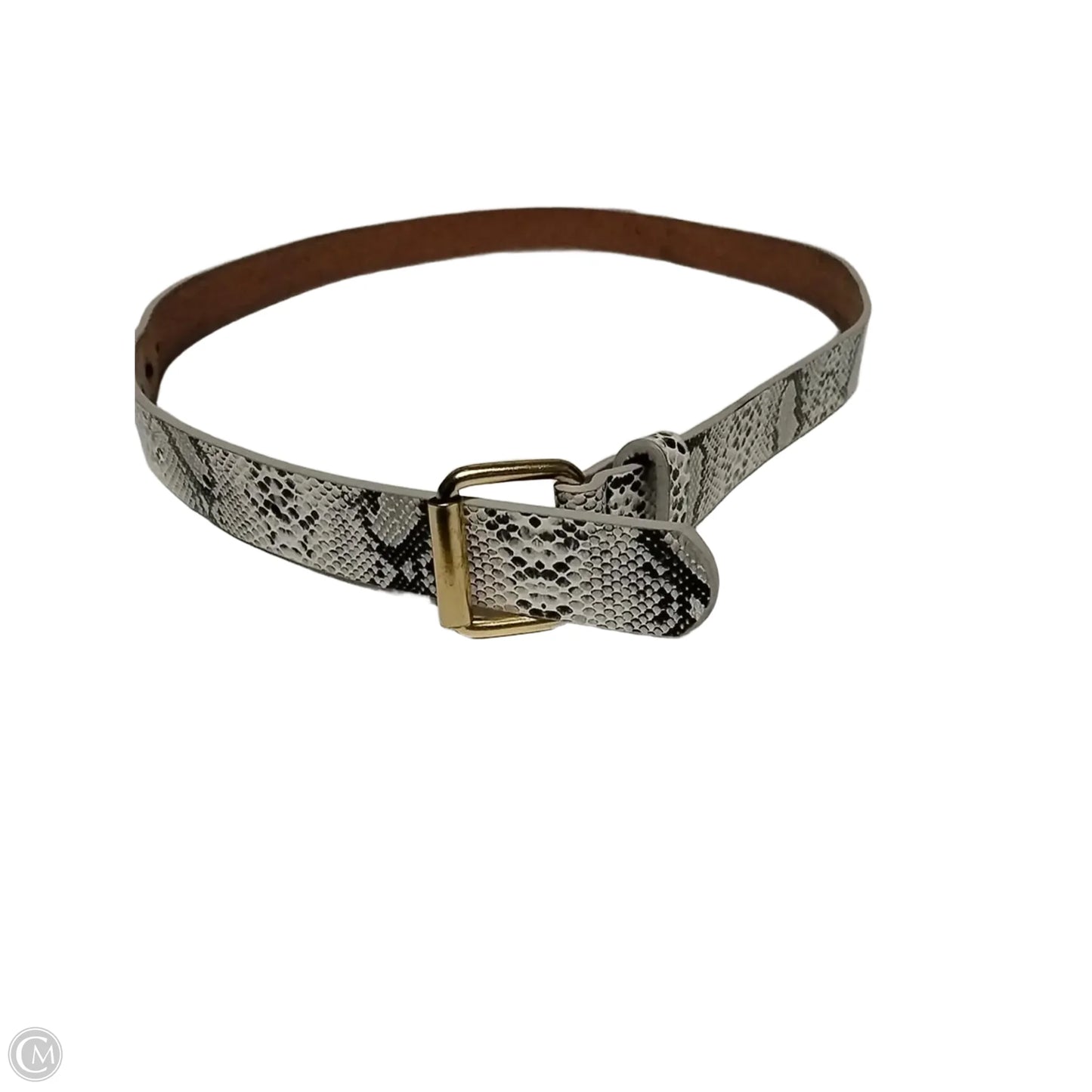 Belt By Clothes Mentor