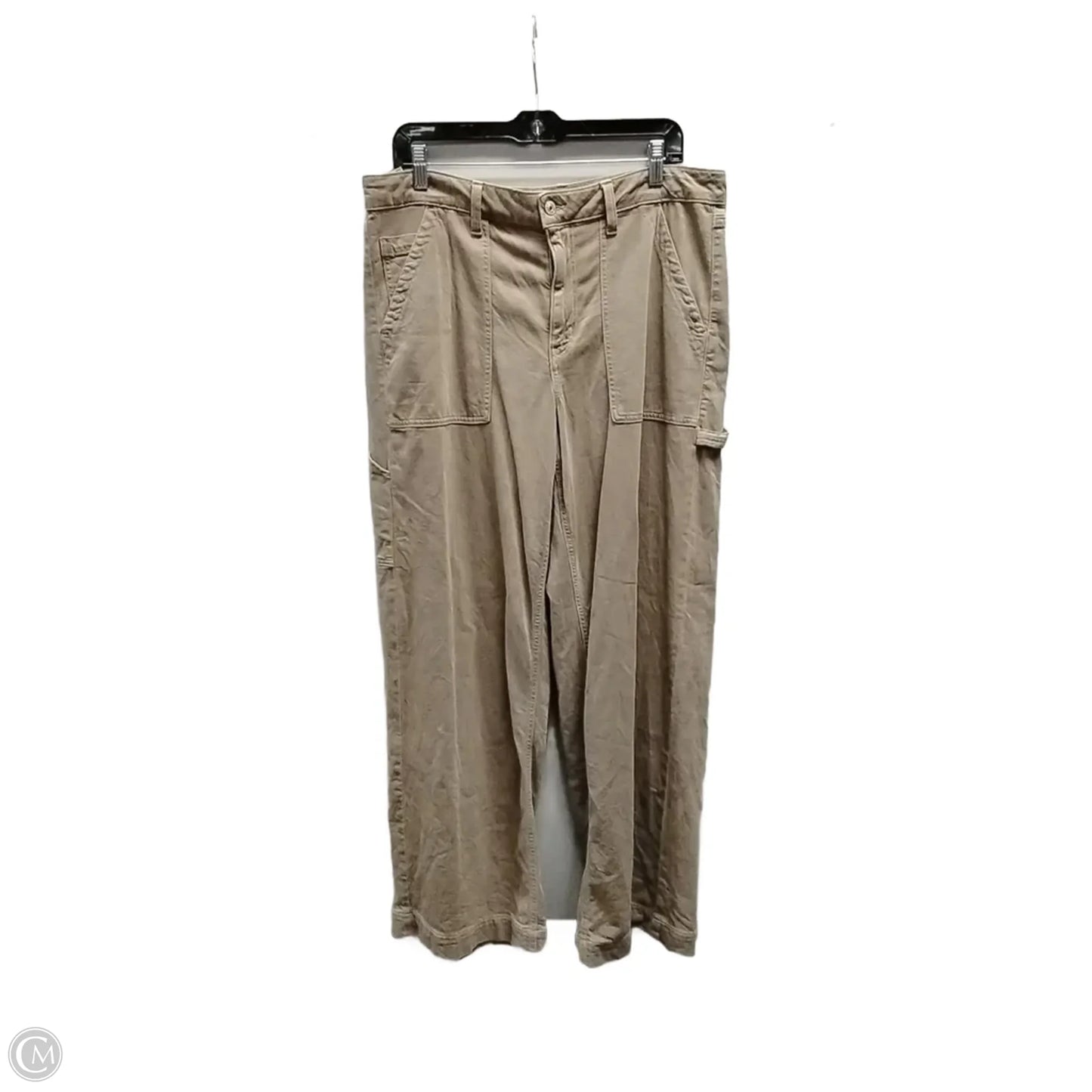 Pants Cargo & Utility By American Eagle In Brown, Size: 12