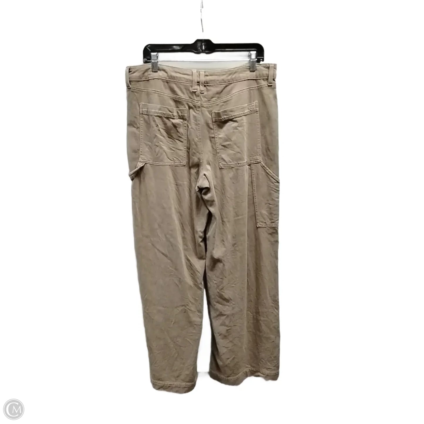 Pants Cargo & Utility By American Eagle In Brown, Size: 12