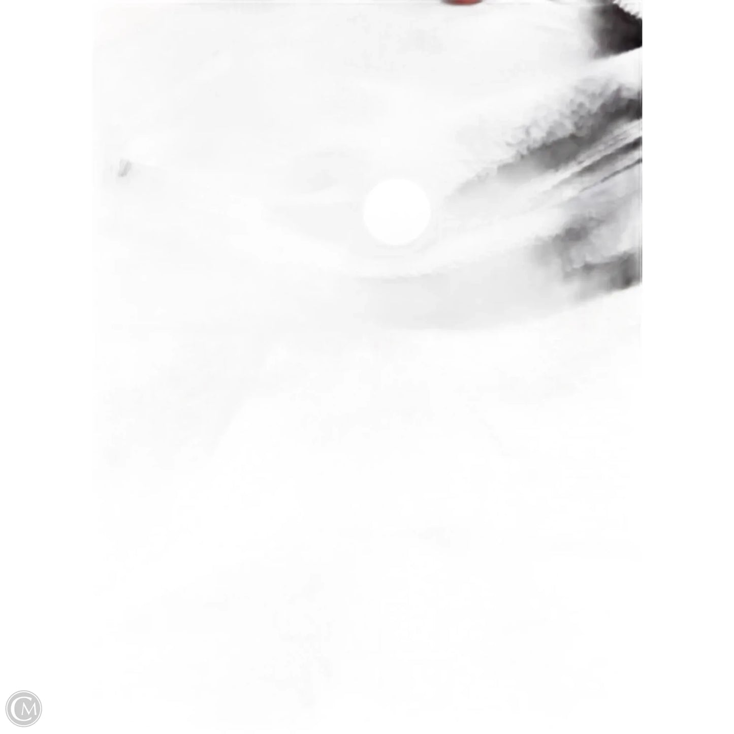 Athletic Shorts By Lululemon In Grey, Size: 8