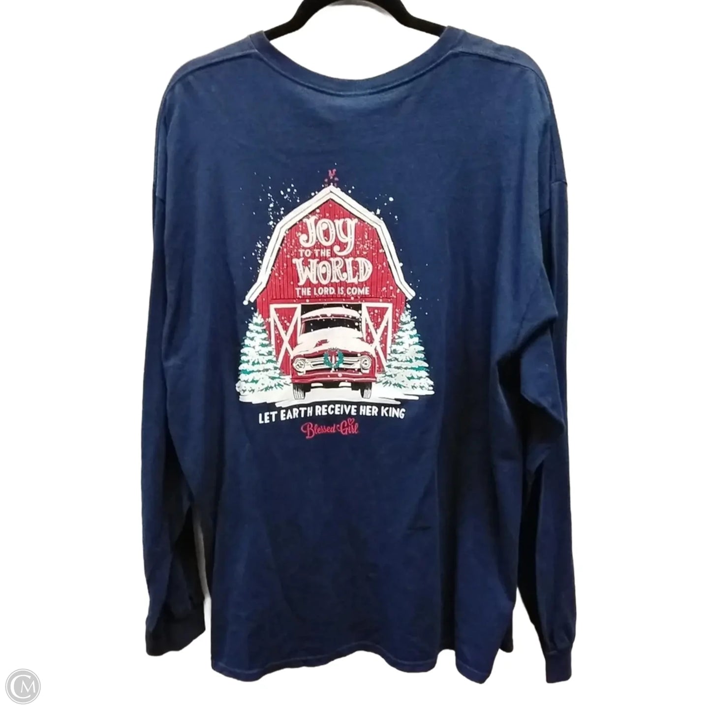 Top Long Sleeve By Clothes Mentor In Blue, Size: 2x