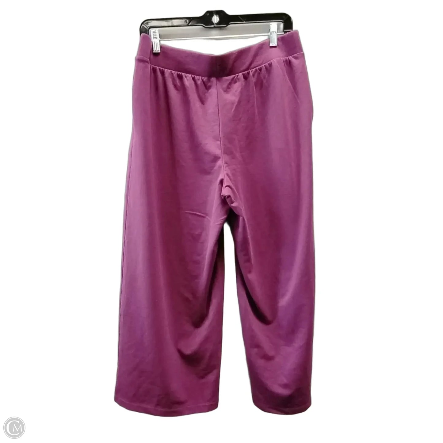 Athletic Pants 2pc By J. Jill In Purple, Size: M