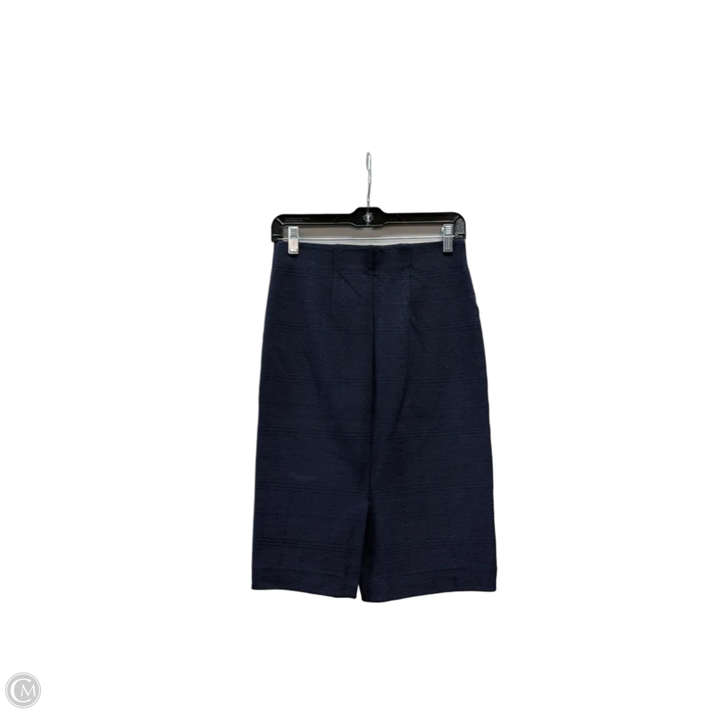 Skirt Midi By Ann Taylor In Blue, Size: Xs