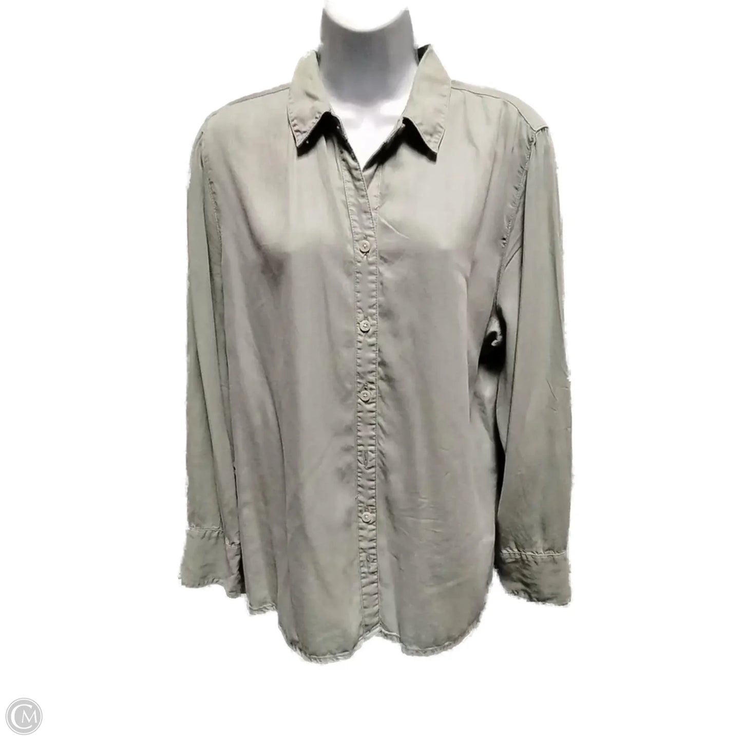Blouse Long Sleeve By Chicos In Green, Size: 3