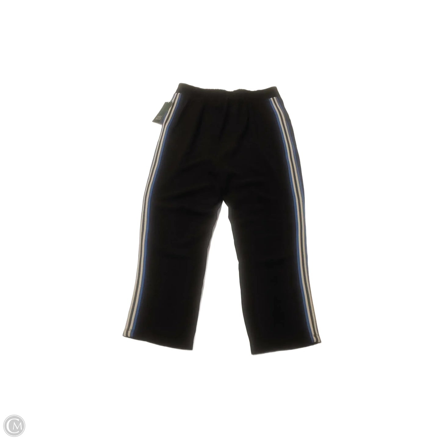 Athletic Pants By Wild Fable In Black & Blue, Size: S