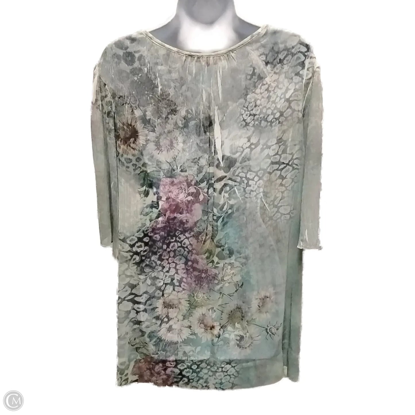 Blouse Short Sleeve By Clothes Mentor In Aqua, Size: 2x