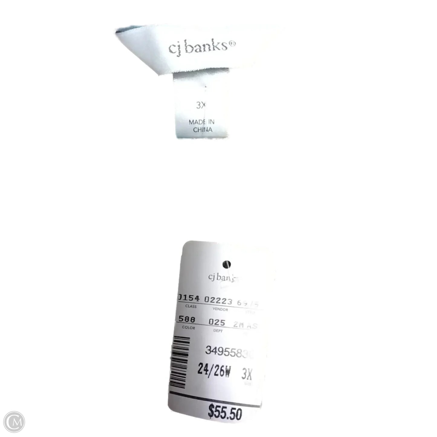 Blouse Long Sleeve By Cj Banks In Blue & Brown, Size: 3x