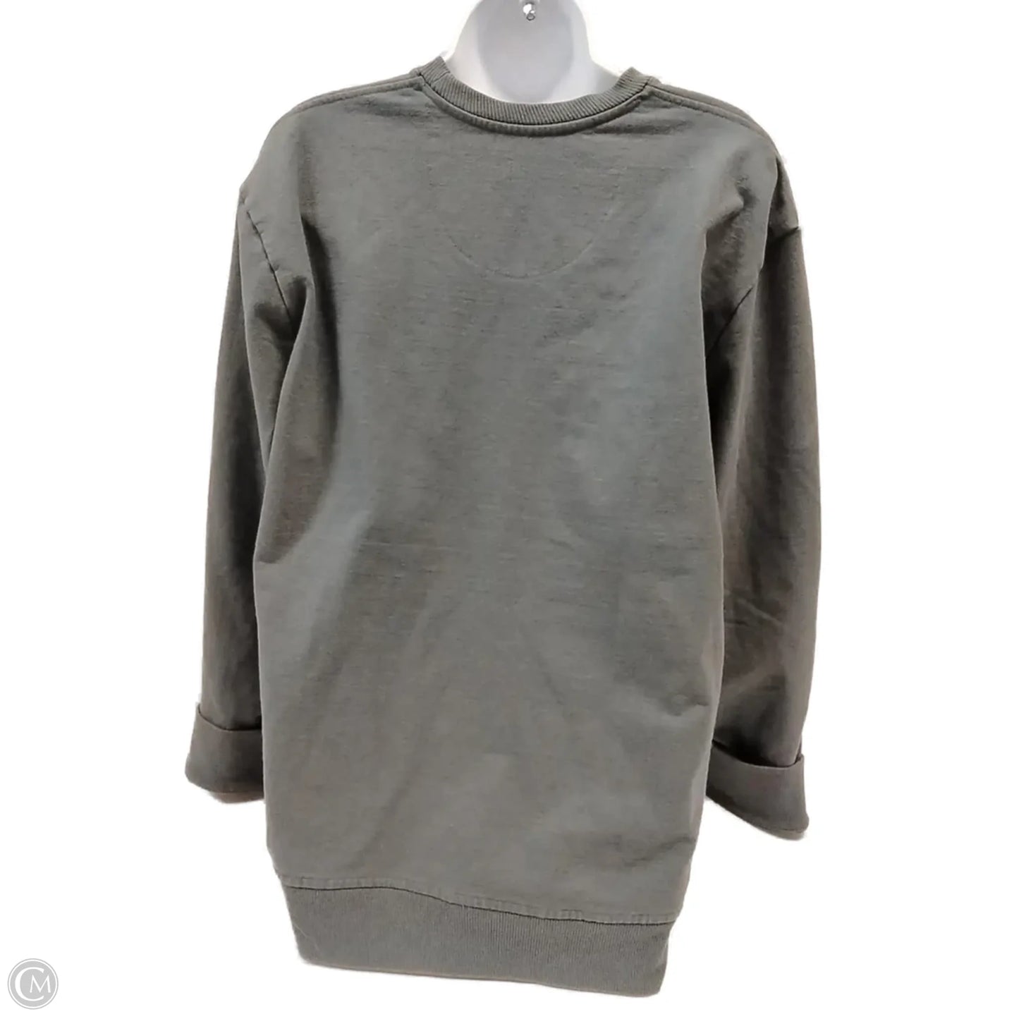 Sweatshirt Crewneck By Patagonia In Grey, Size: L