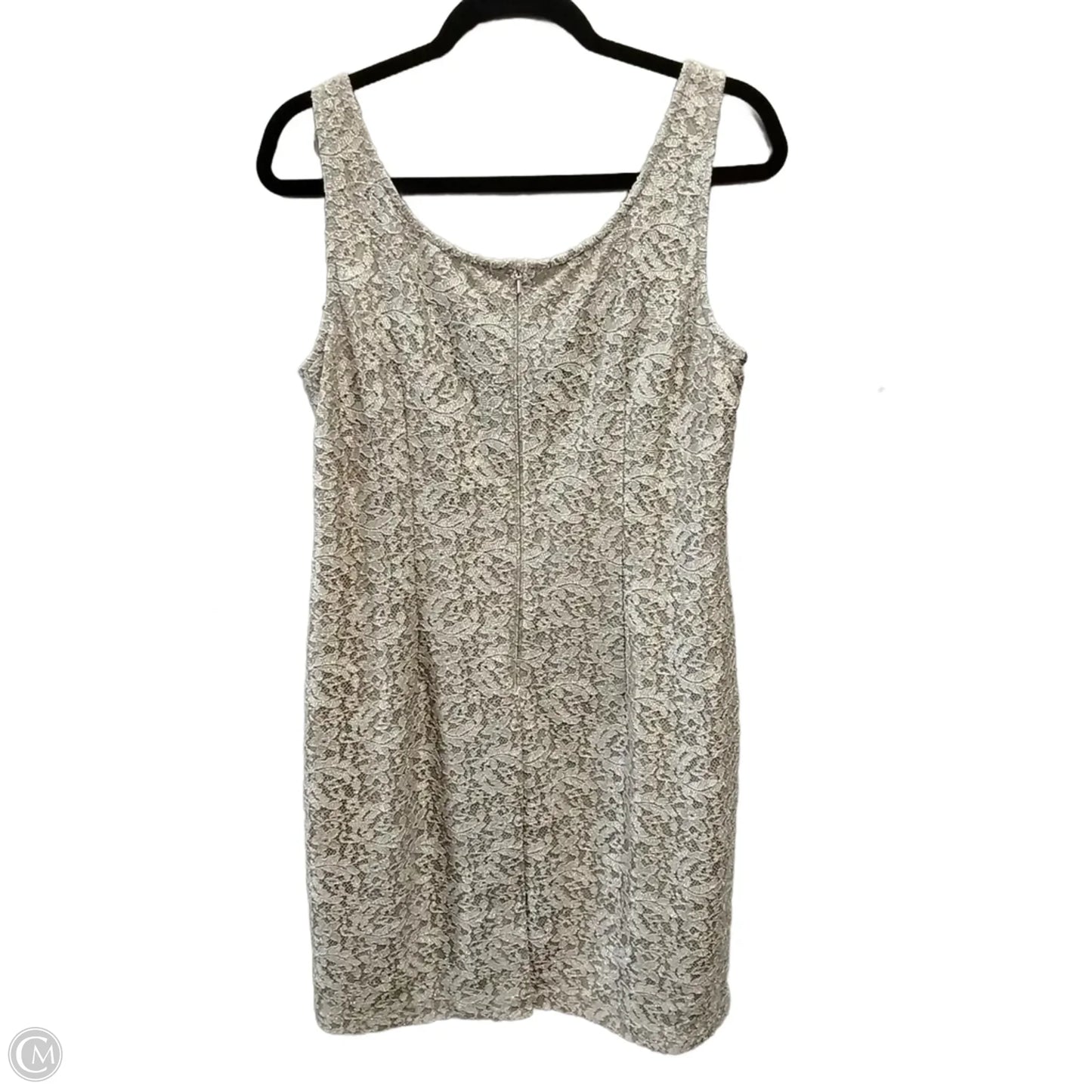 Dress Set 2pc By Alex Evenings In Gold, Size: 14