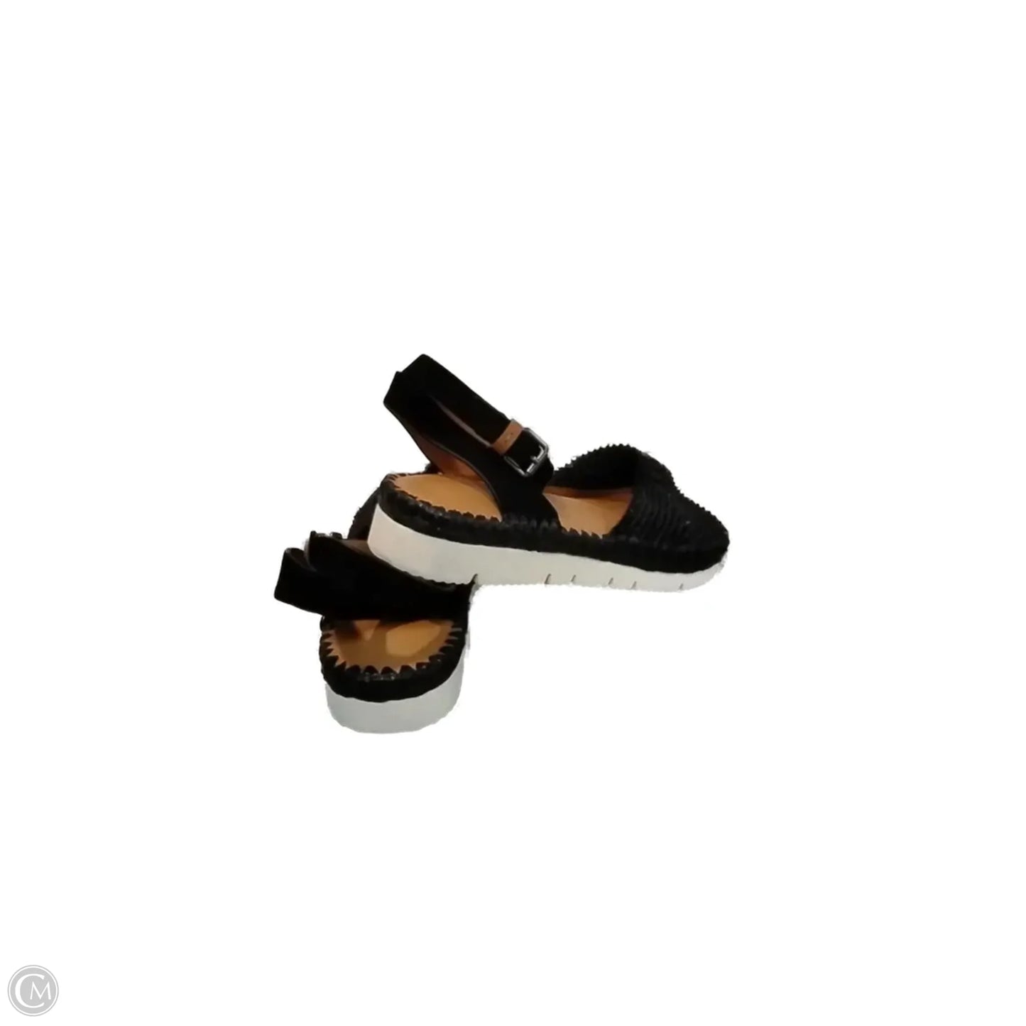Sandals Flats By Gentle Souls In Black & Tan, Size: 8