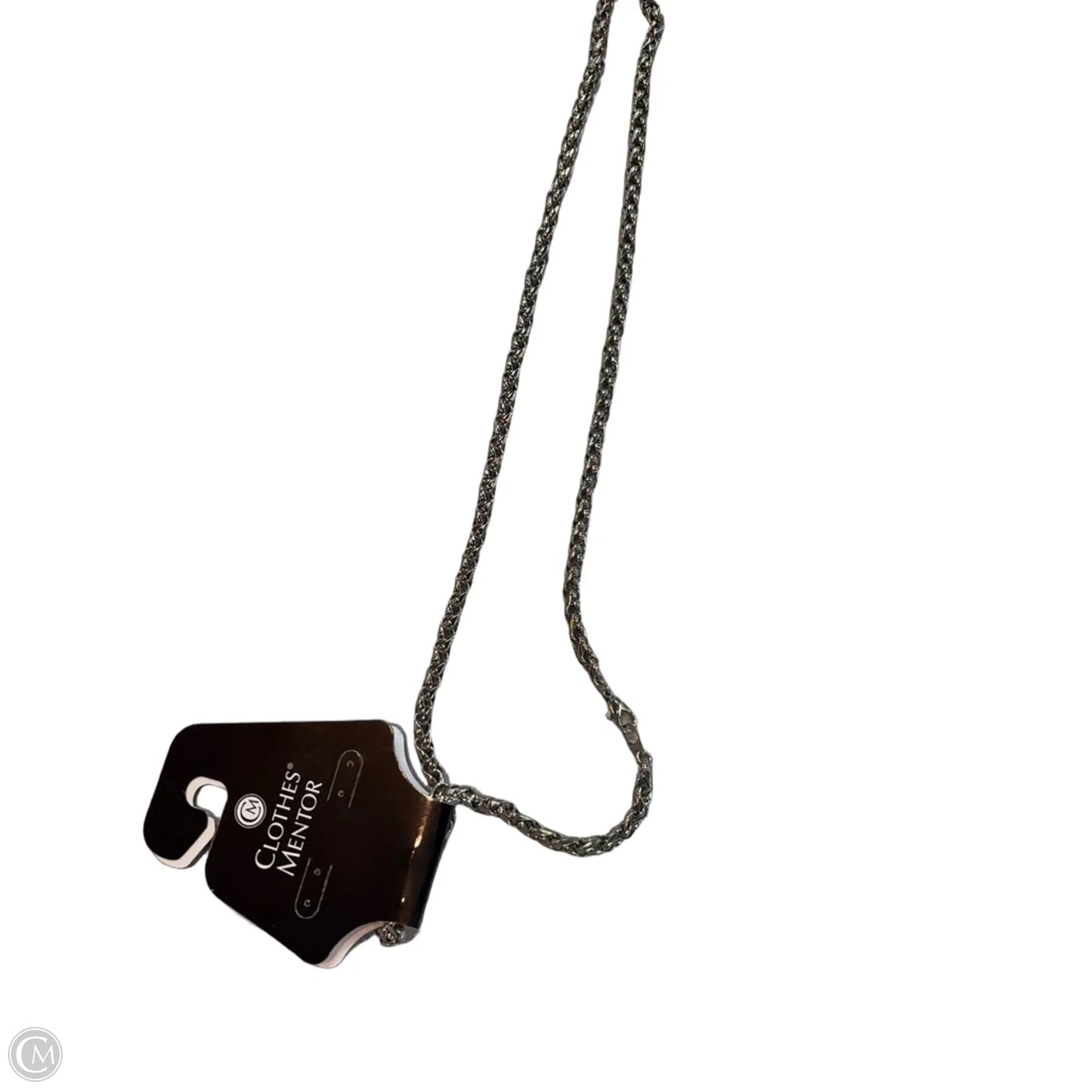 Necklace Chain By Clothes Mentor, Size: L