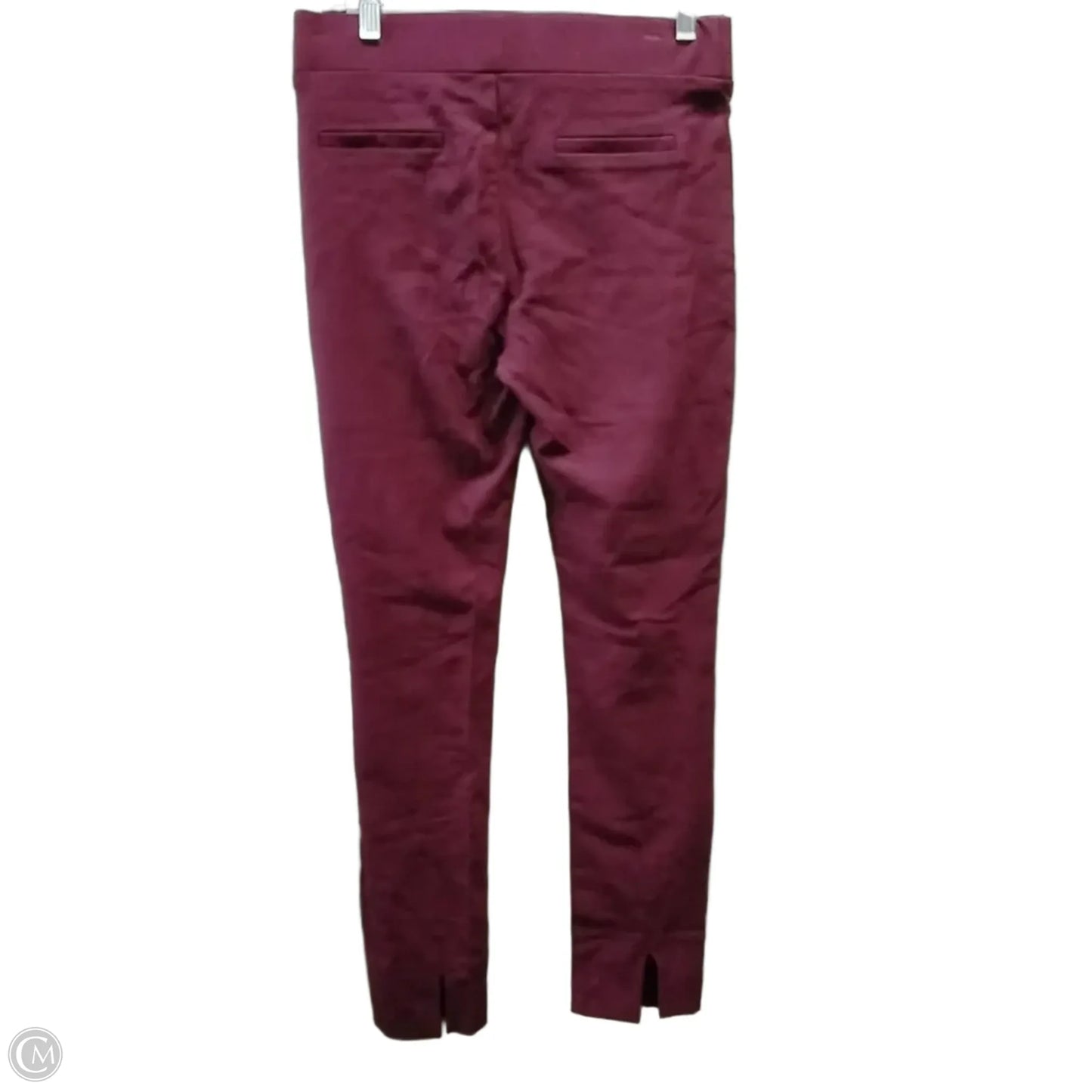 Pants Joggers By Eci In Purple, Size: M