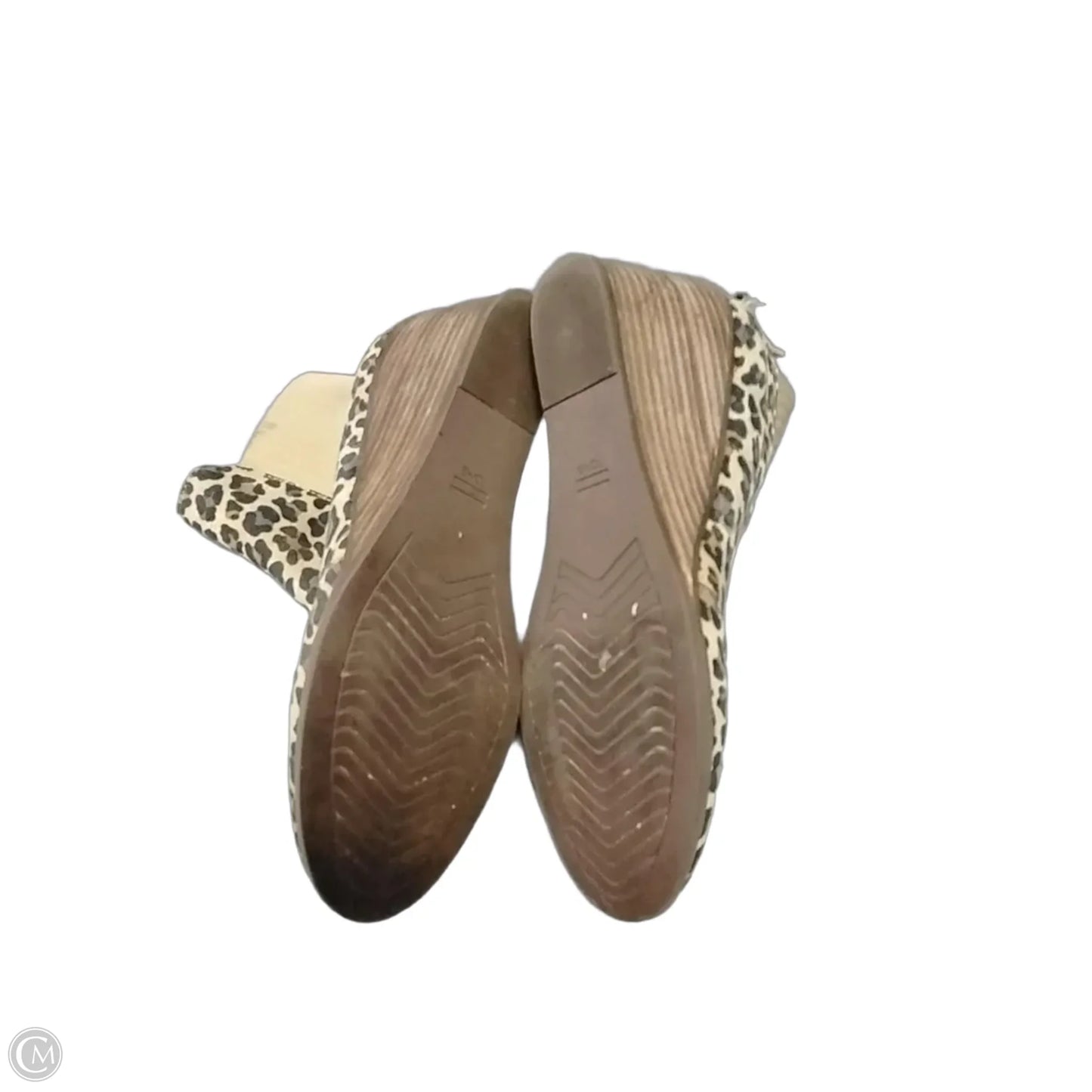 Shoes Heels Wedge By Toms In Leopard Print, Size: 8