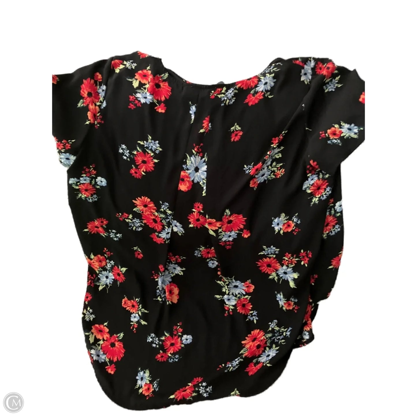 Top Short Sleeve By Chelsea And Theodore In Floral Print, Size: 2x