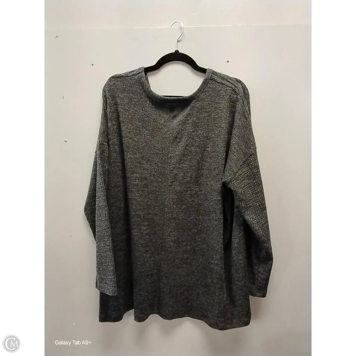 Top Long Sleeve By Terra & Sky In Grey, Size: 2x