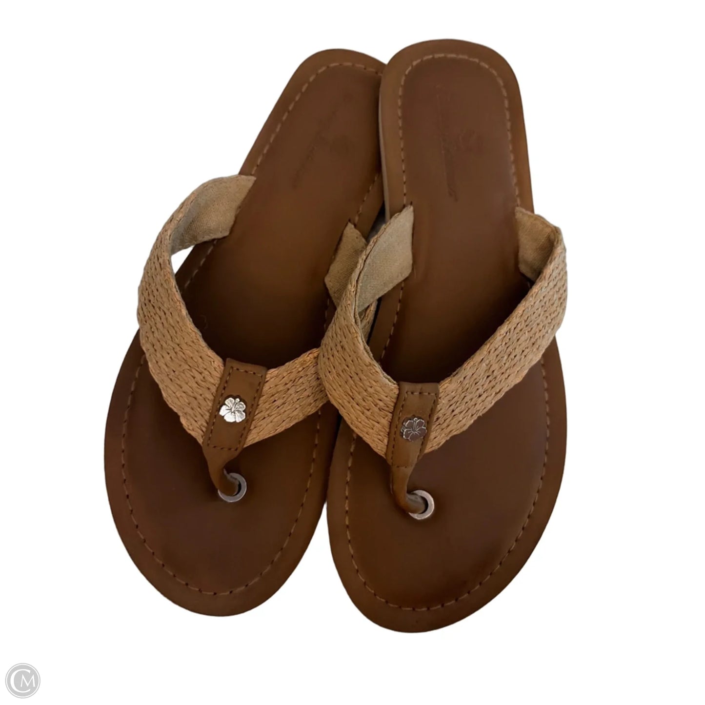 Sandals Flip Flops By Tommy Bahama In Brown, Size: 9