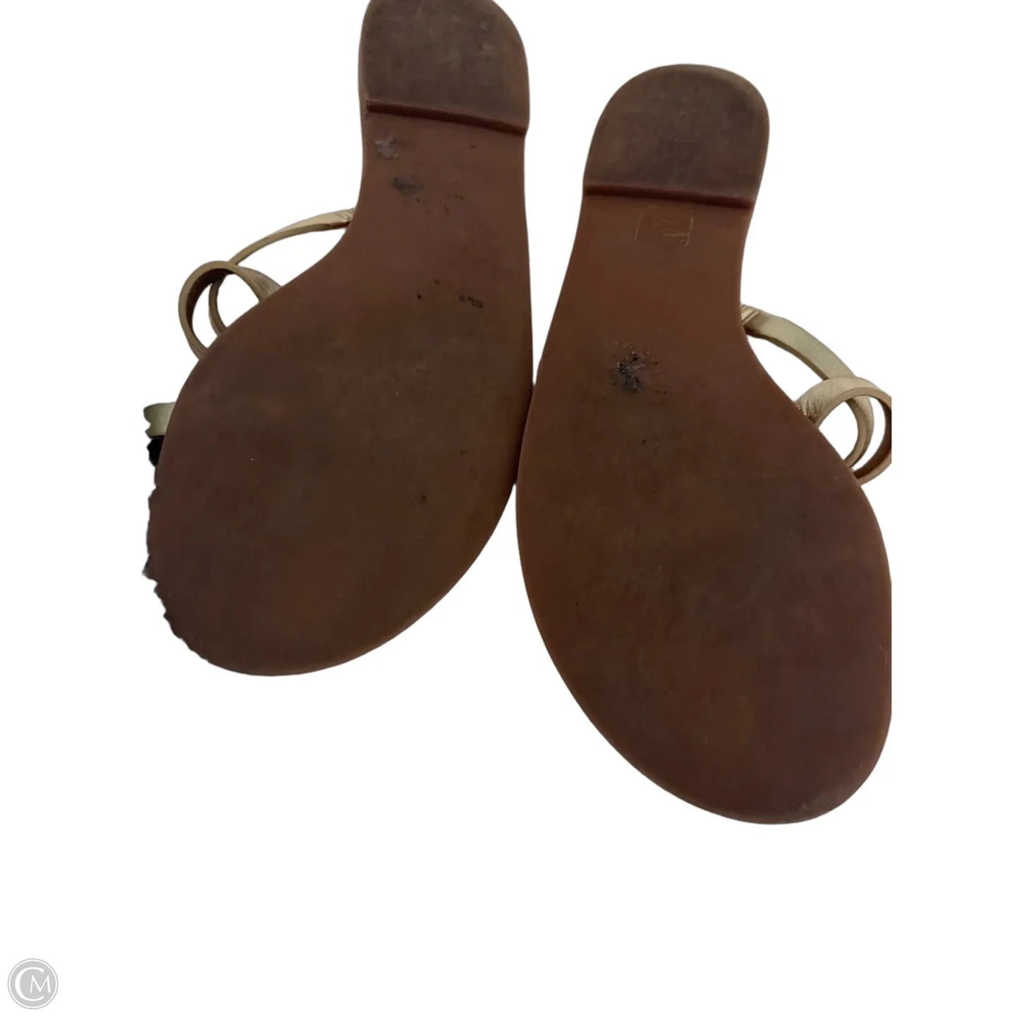 Sandals Designer By Tory Burch In Brown & Gold, Size: 8