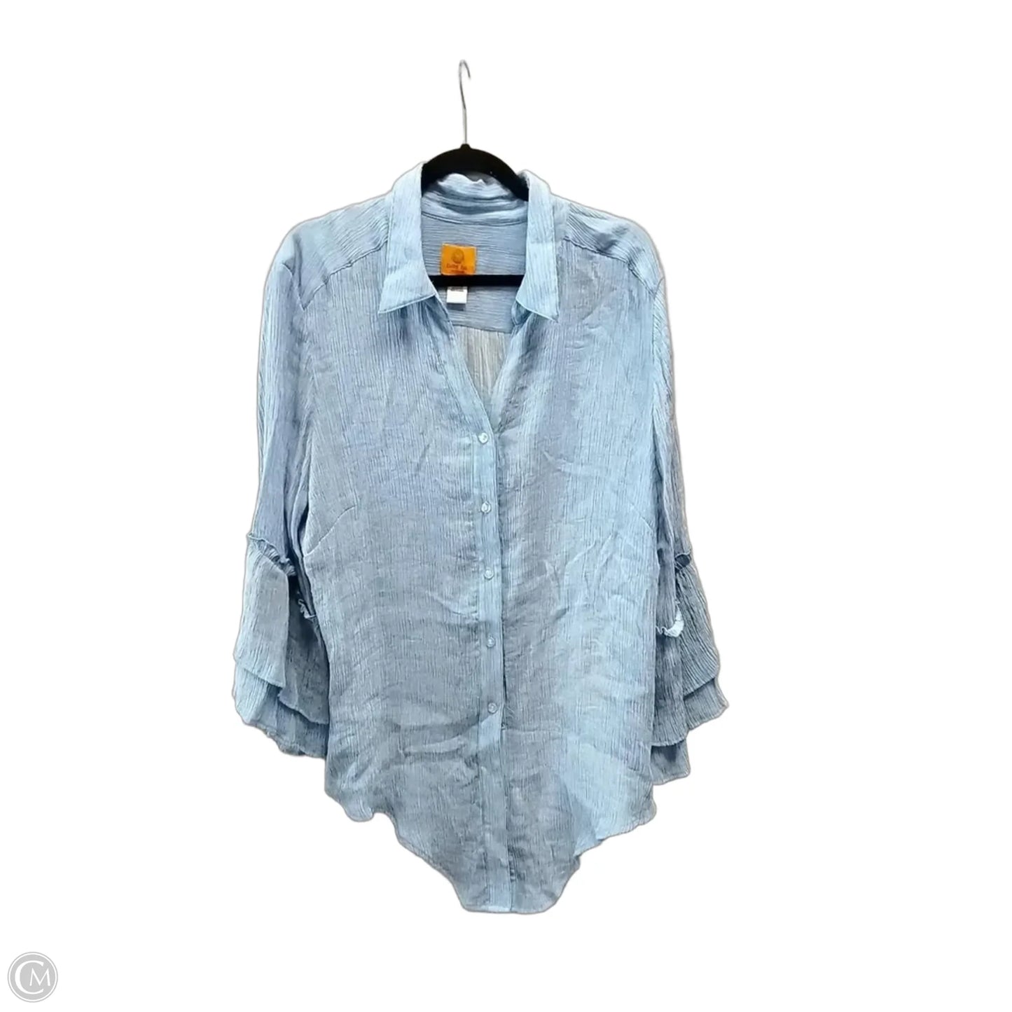 Blouse Long Sleeve By Ruby Rd In Blue, Size: 2x