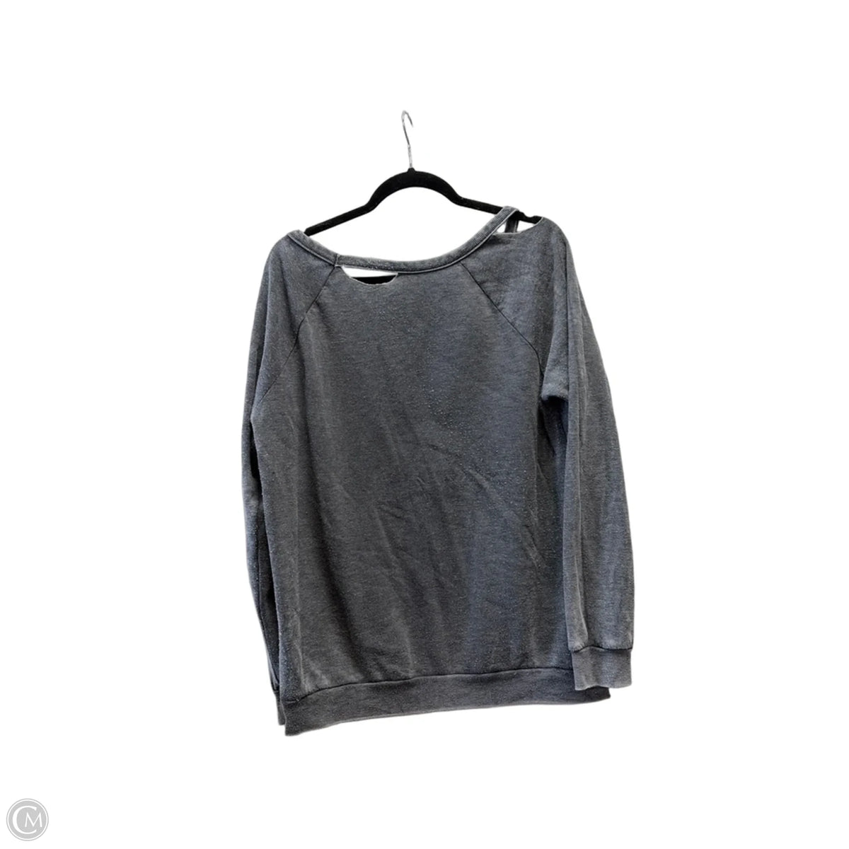 Sweatshirt Crewneck By Chacos In Grey, Size: S