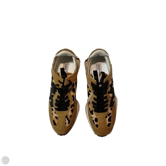 Shoes Sneakers By Steve Madden In Leopard Print, Size: 8.5