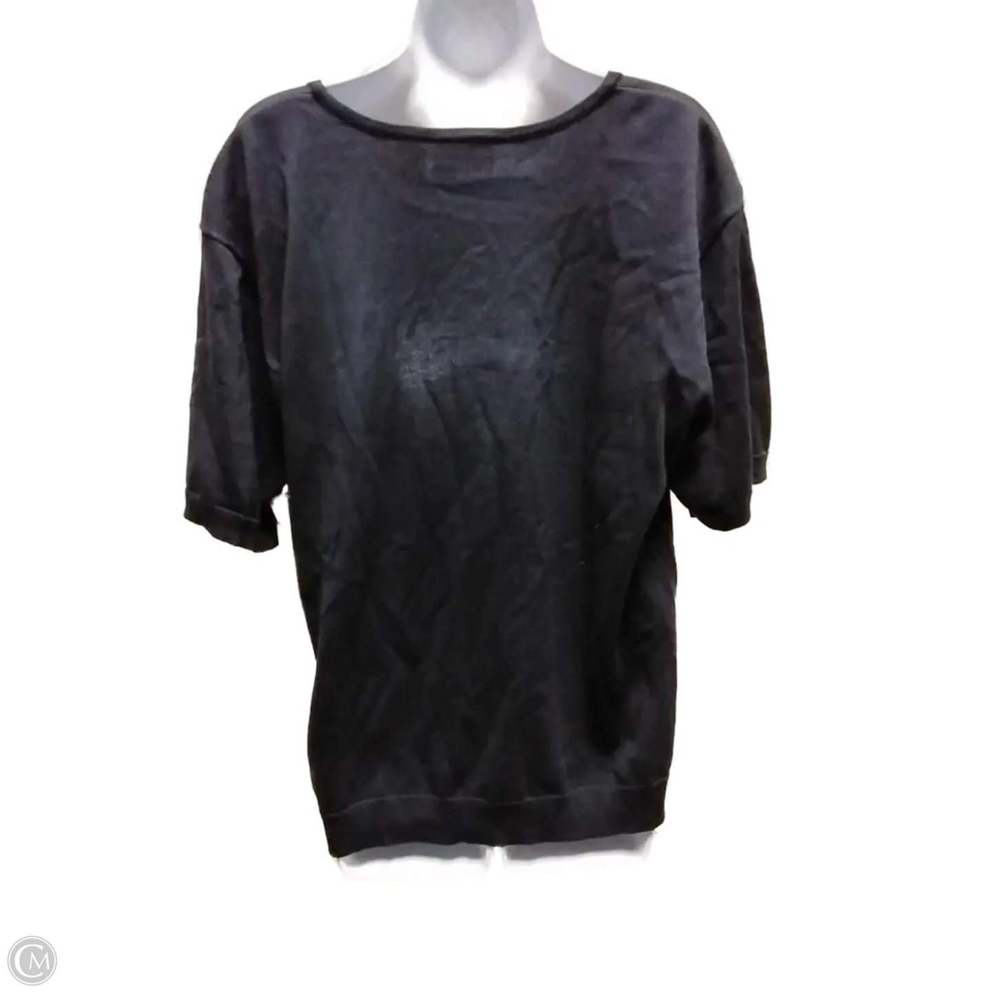 Sweater Short Sleeve By Liz Claiborne In Blue, Size: 1x