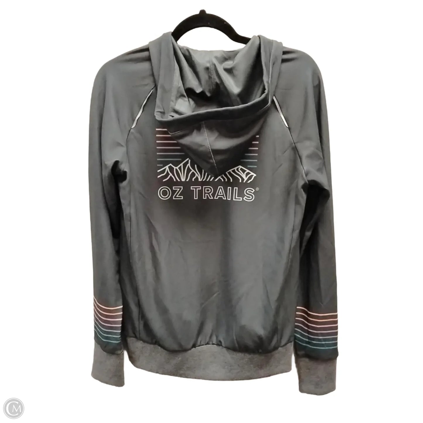 Sweatshirt Hoodie By Clothes Mentor In Grey, Size: M