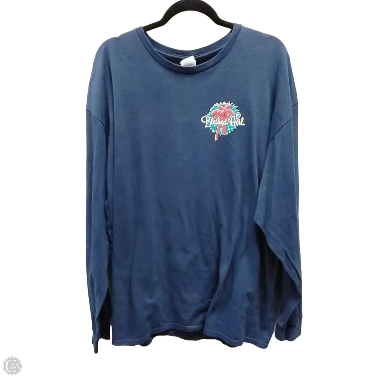 Top Long Sleeve By Clothes Mentor In Blue, Size: 2x