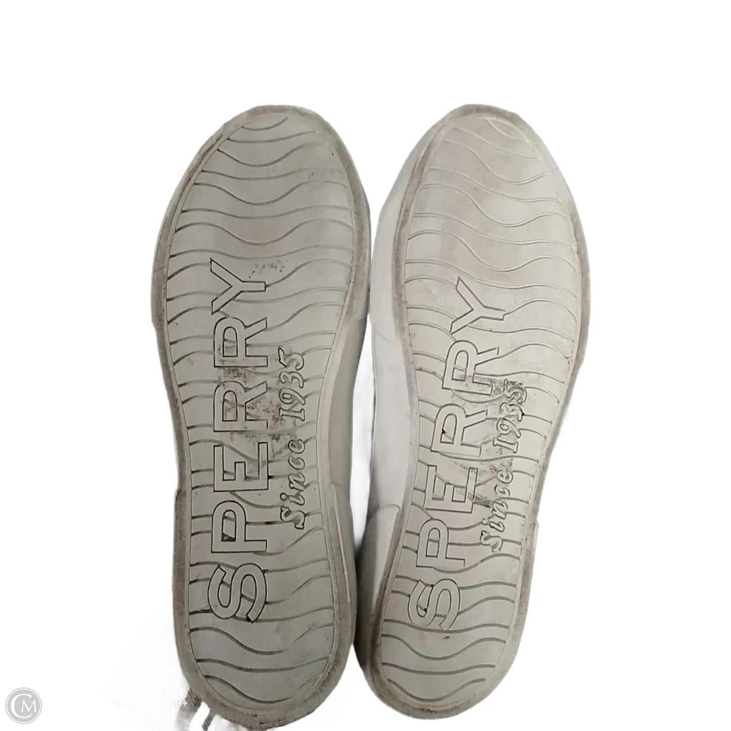 Shoes Sneakers By Sperry In Blue, Size: 8