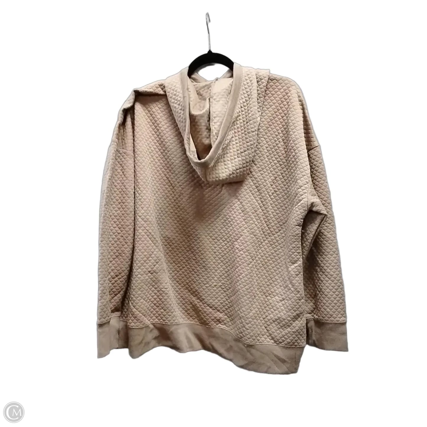 Sweatshirt Hoodie By The Sweatshirt Project In Brown, Size: 1x