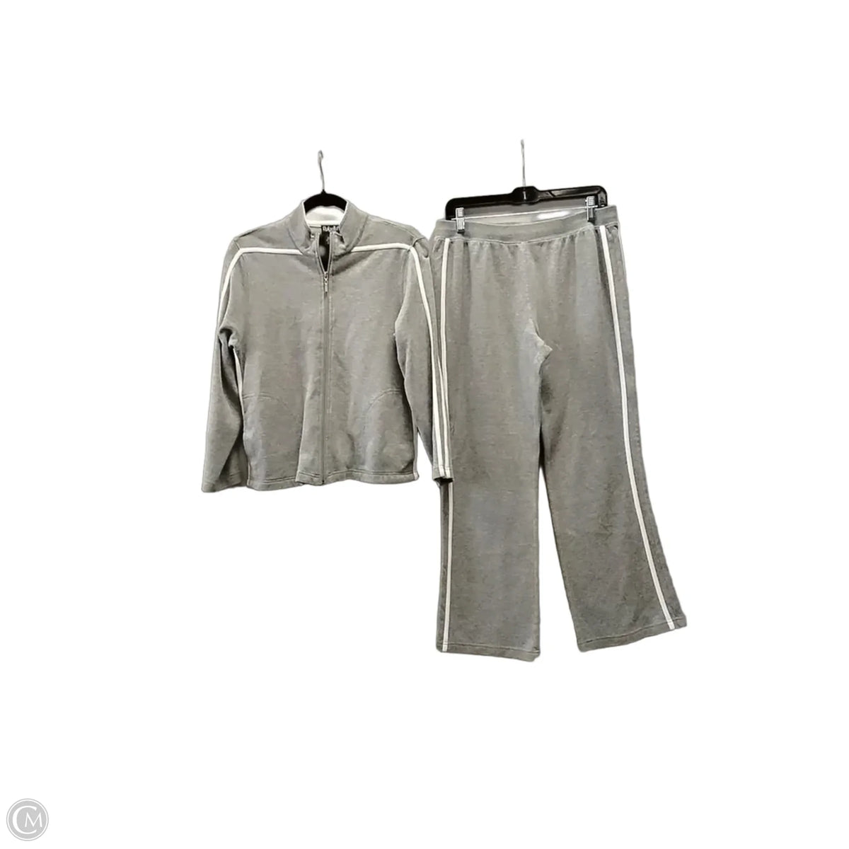 Pants Set 2pc By Rafaella In Grey, Size: M