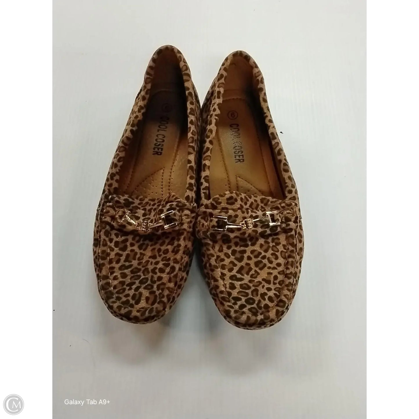 Shoes Flats By Cme In Animal Print, Size: 6