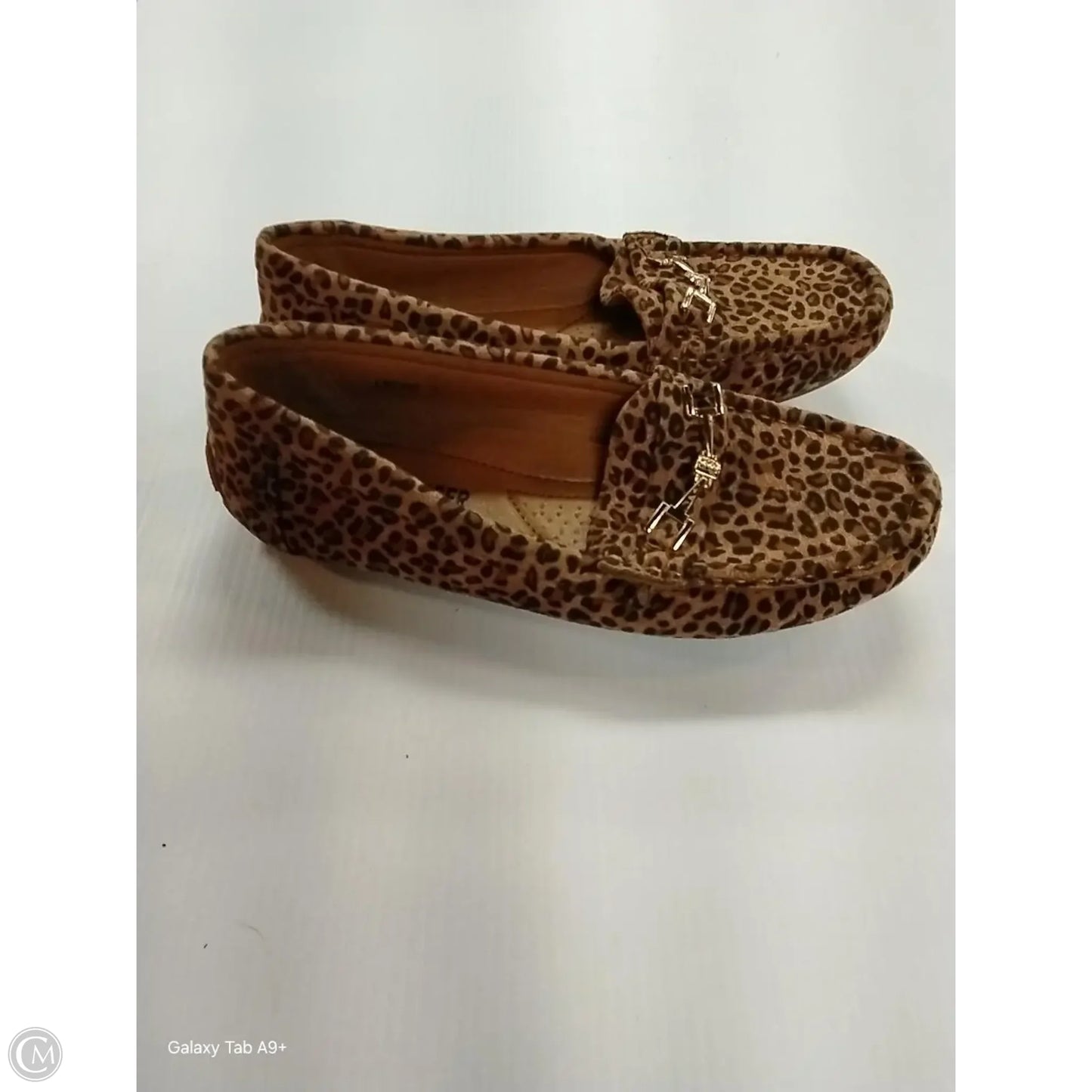 Shoes Flats By Cme In Animal Print, Size: 6