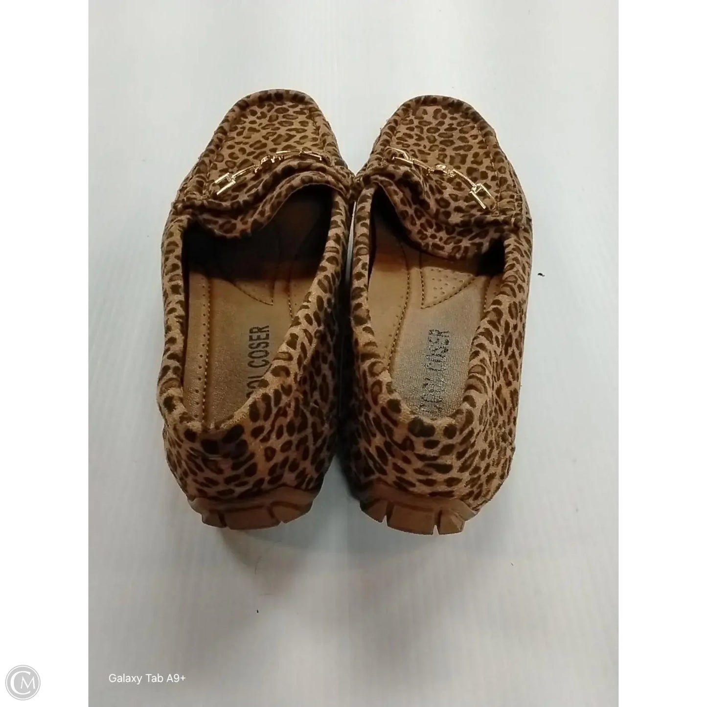 Shoes Flats By Cme In Animal Print, Size: 6