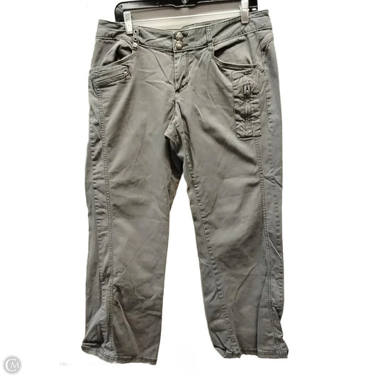 Pants Other By Natural Reflections In Grey, Size: 12