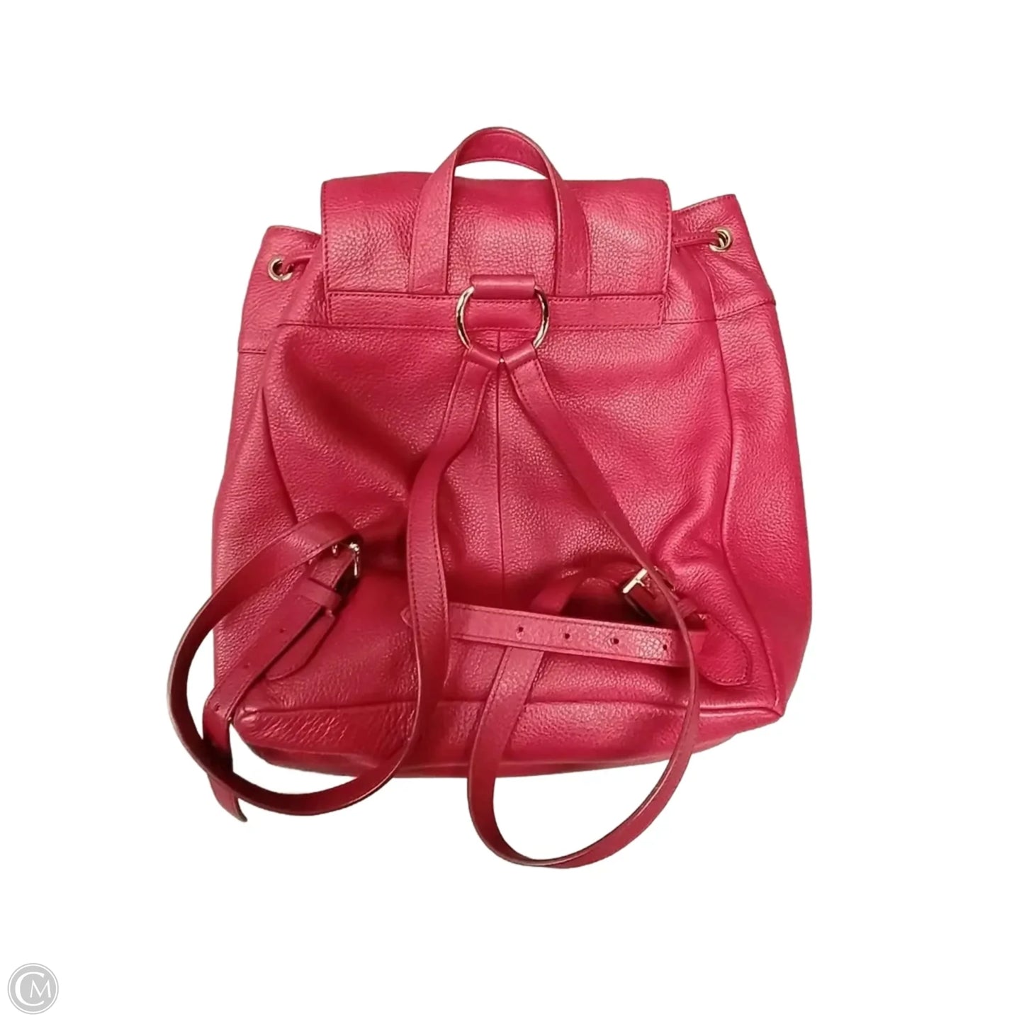 Backpack Designer By Coach, Size: Medium