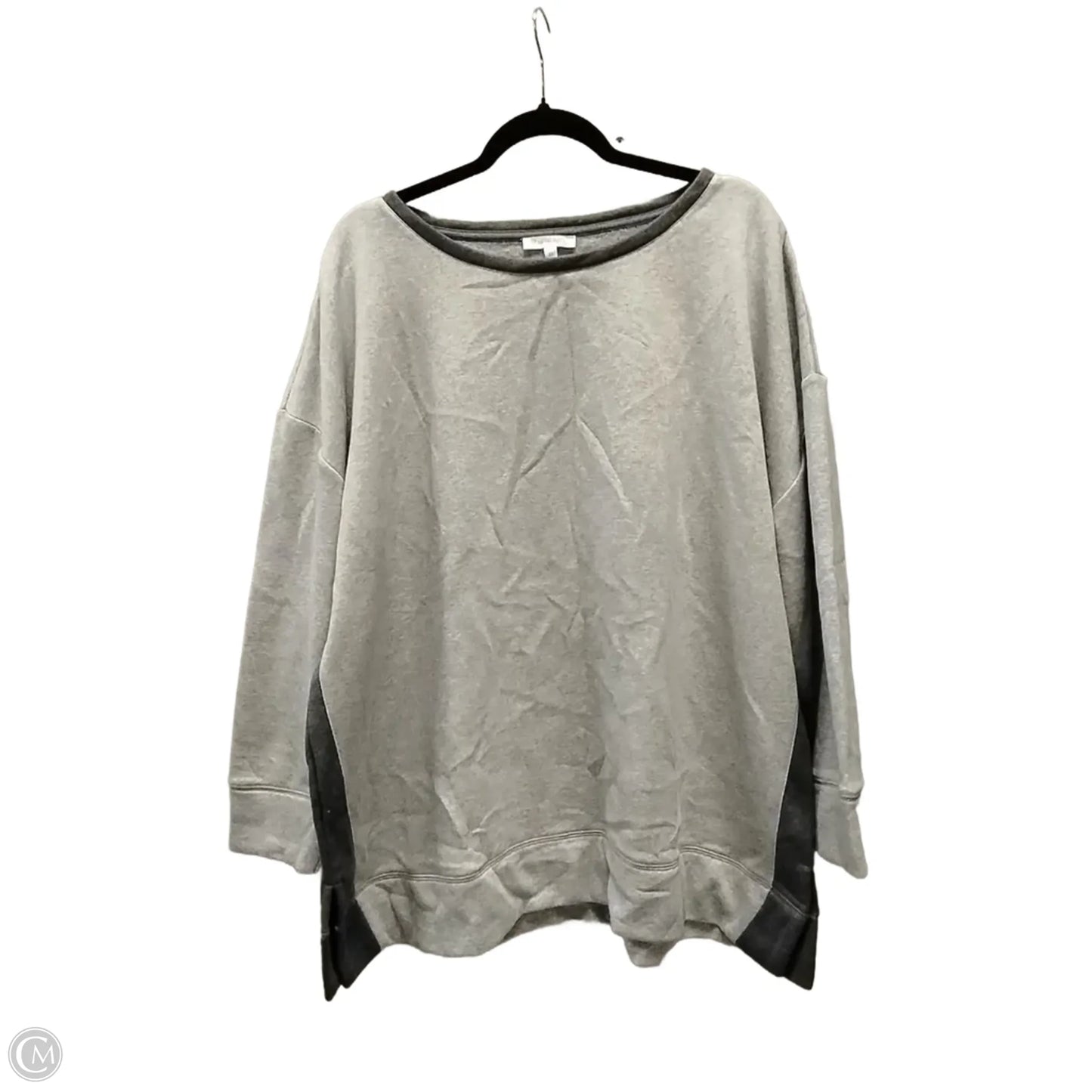 Top Long Sleeve By Talbots In Grey, Size: 3x