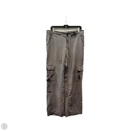Pants Cargo & Utility By Clothes Mentor In Grey, Size: 10