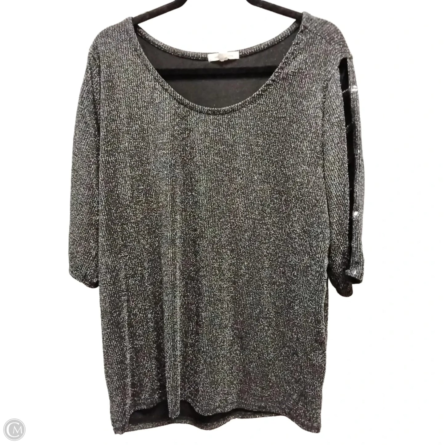 Blouse Long Sleeve By Clothes Mentor In Silver, Size: 2x