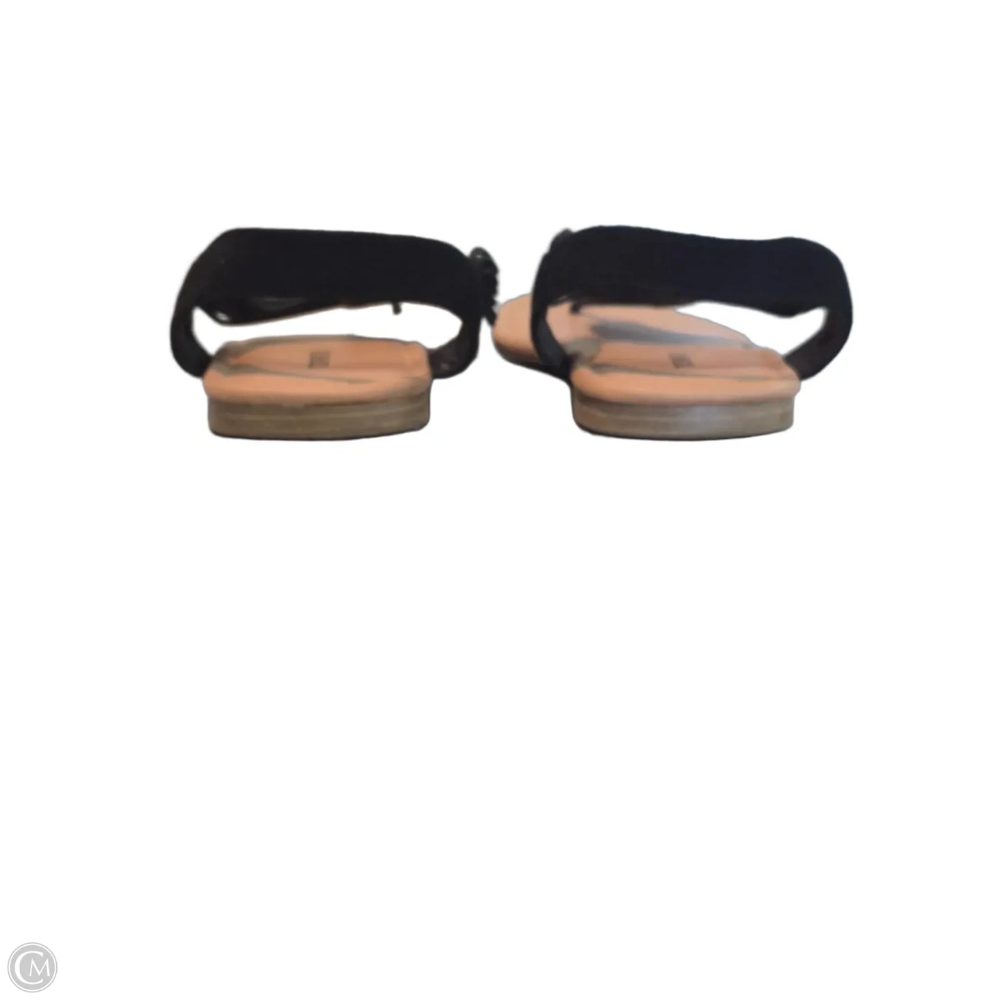 Sandals Flats By Torrid In Black & Tan, Size: 9