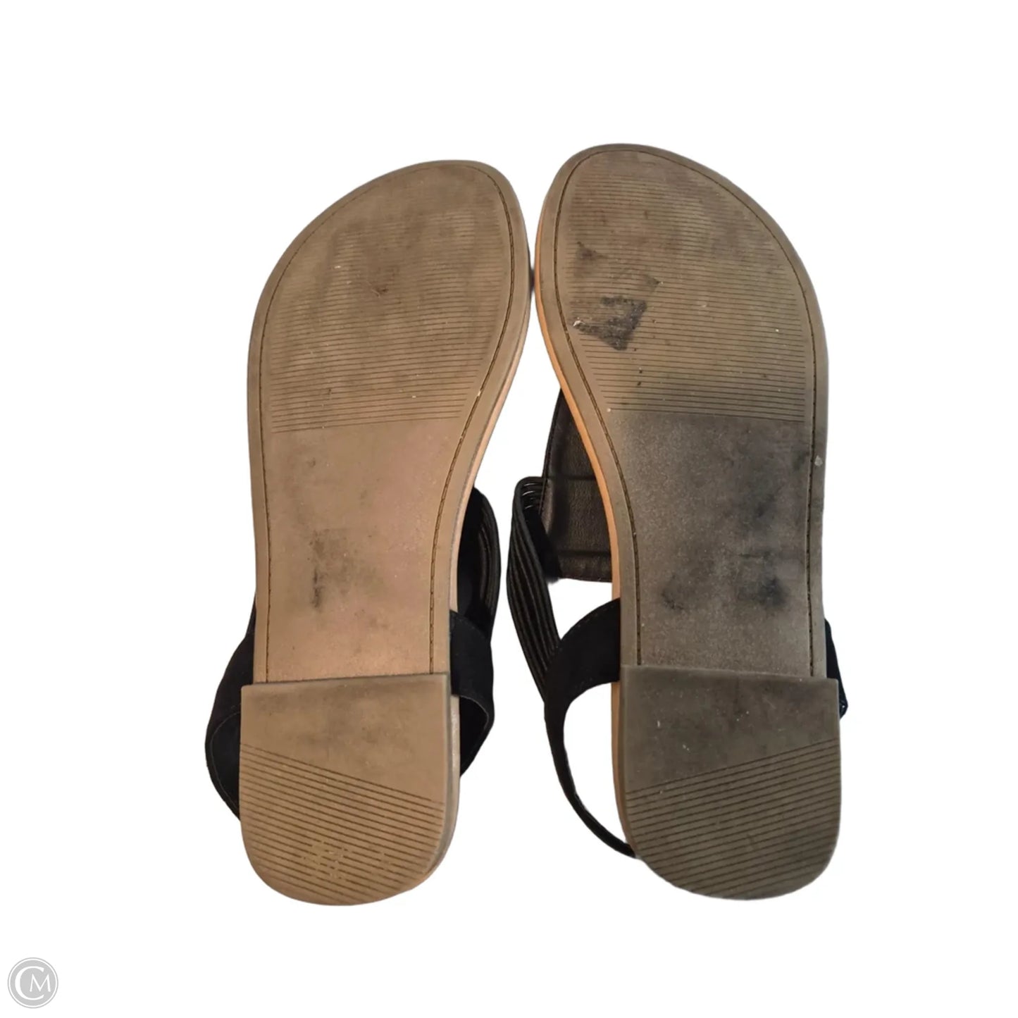 Sandals Flats By Torrid In Black & Tan, Size: 9