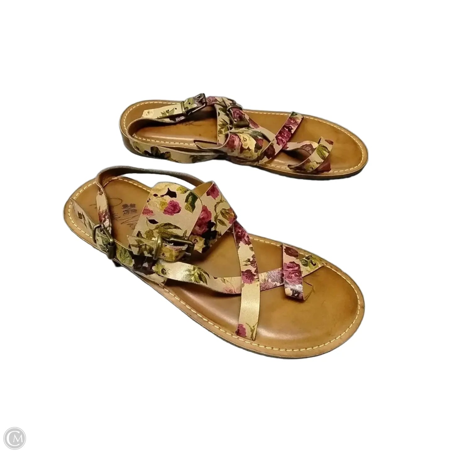 Sandals Designer By Patricia Nash In Floral Print, Size: 8.5