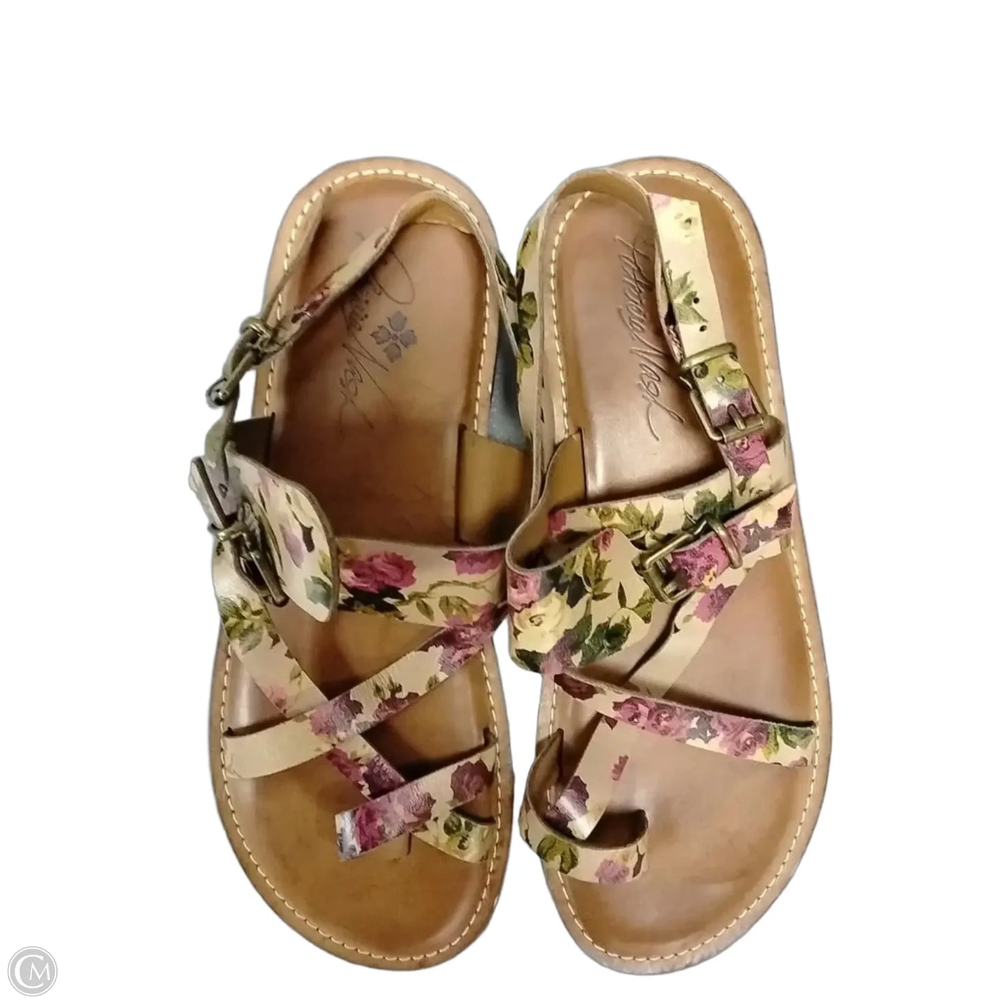Sandals Designer By Patricia Nash In Floral Print, Size: 8.5