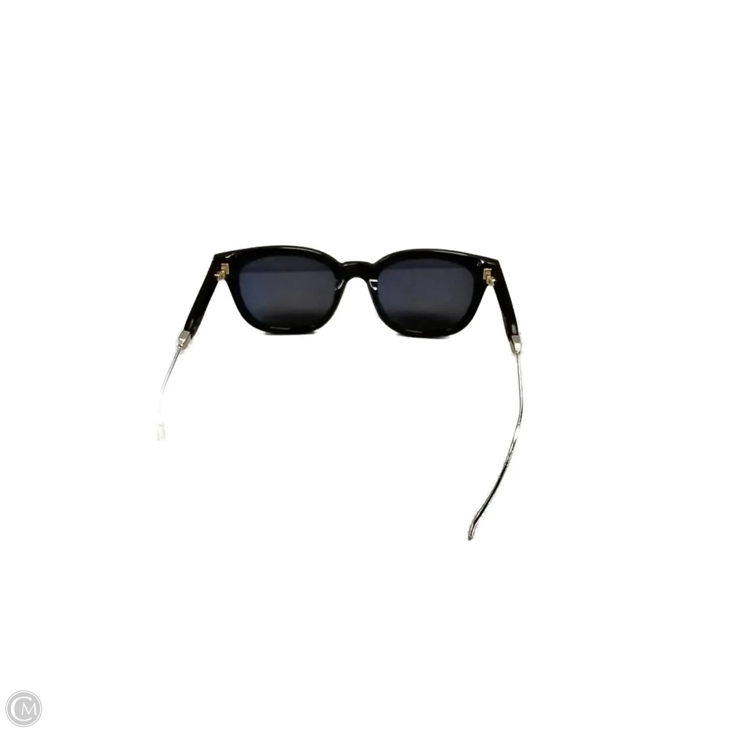Sunglasses Luxury Designer By Tom Ford
