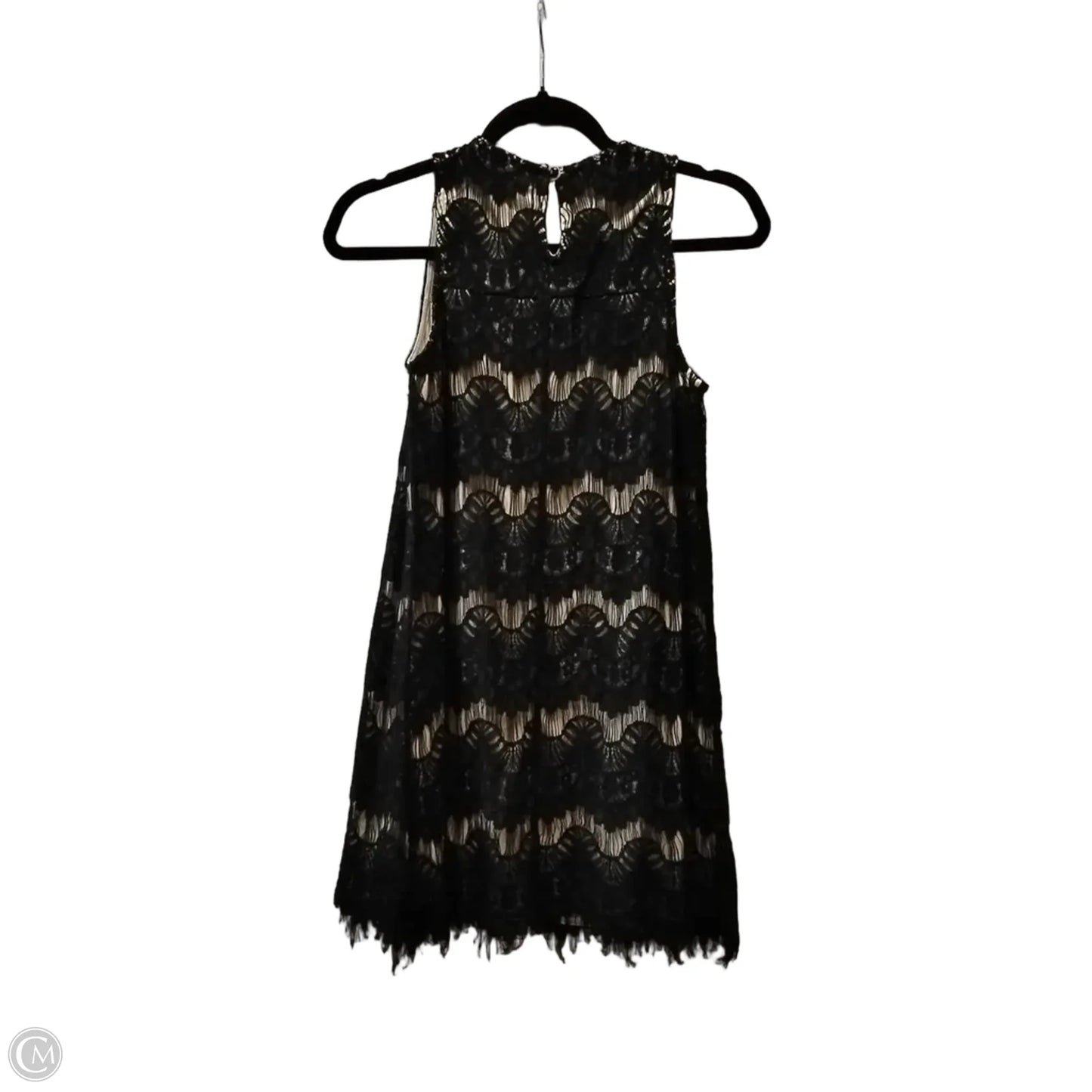 Dress Party Short By Speechless In Black & Cream, Size: S