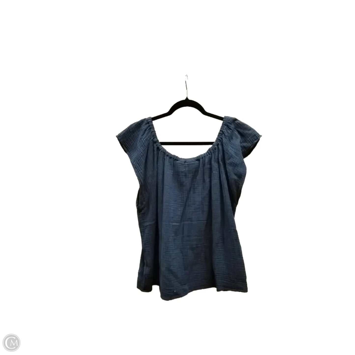 Blouse Sleeveless By Counterparts In Blue, Size: Xl