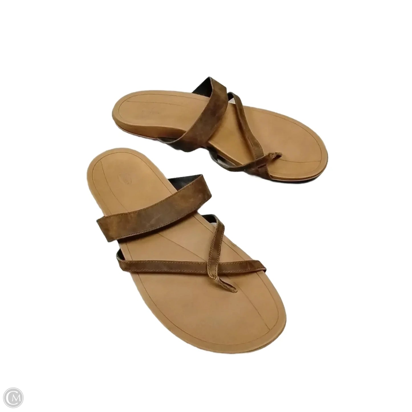 Sandals Flip Flops By Chacos In Brown, Size: 12
